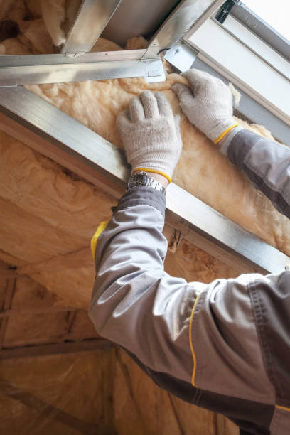 Best Specialized Insulation Services in Galva, KS